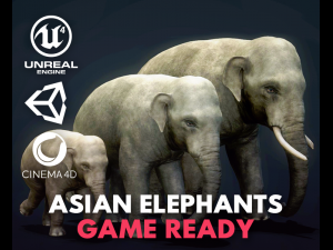 asian elephants - game ready 3D Model