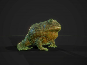 pixie frog - game ready Modelo 3D