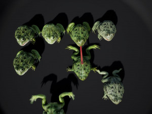 pixie frog - game ready Modelo 3D
