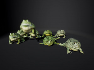 pixie frog - game ready Modelo 3D