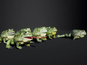 pixie frog - game ready Modelo 3D