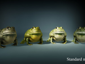 pixie frog - game ready Modelo 3D