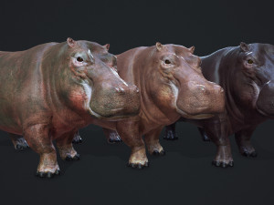 hippopotamus - game ready 3D Модель