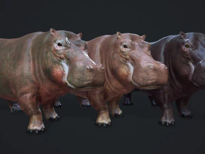 hippopotamus - game ready 3D Model