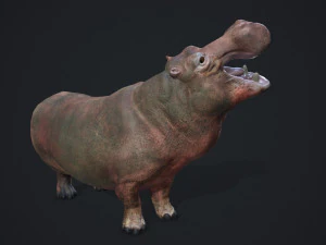 hippopotamus - game ready 3D Model