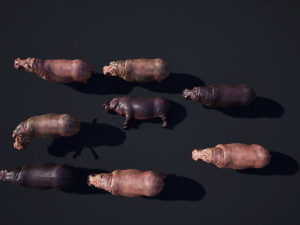 hippopotamus - game ready 3D Модель