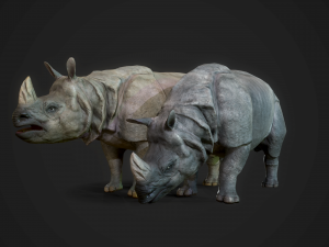 indian rhinoceros - game ready 3D-Modell