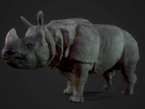 indian rhinoceros - game ready 3D Model