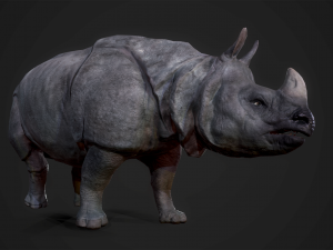 indian rhinoceros - game ready 3D-Modell