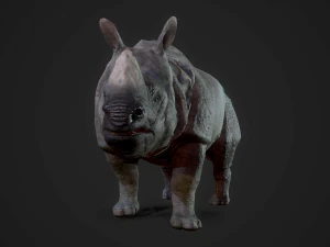 indian rhinoceros - game ready 3D Model