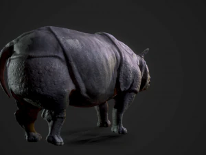 indian rhinoceros - game ready 3D Model