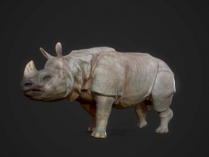 indian rhinoceros - game ready 3D-Modell