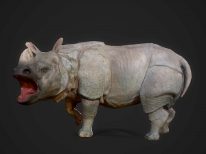 indian rhinoceros - game ready 3D-Modell