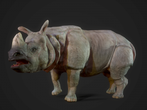 indian rhinoceros - game ready 3D-Modell