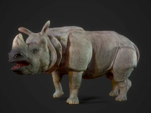 indian rhinoceros - game ready 3D Model