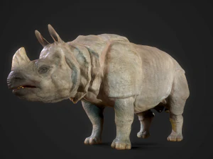 indian rhinoceros - game ready 3D Model