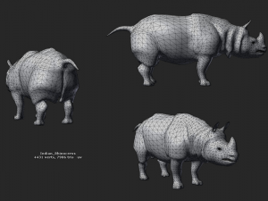 indian rhinoceros - game ready 3D-Modell