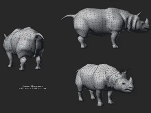 indian rhinoceros - game ready 3D Model