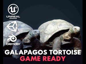 galapagos tortoise - game ready 3D Model
