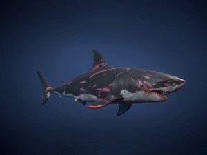 great white sharks - game ready Modelo 3D