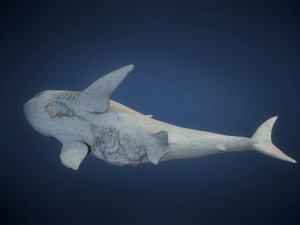 great white sharks - game ready Modelo 3D
