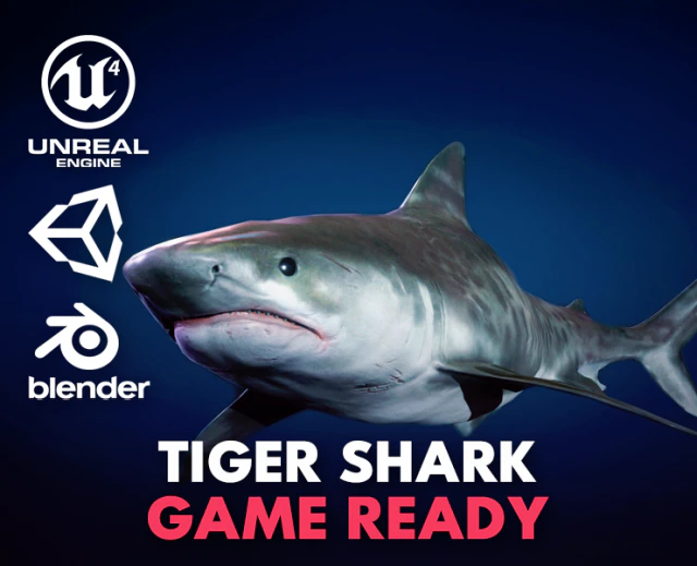 tiger shark - game ready 3D Model .c4d .max .obj .3ds .fbx .stl .blend 