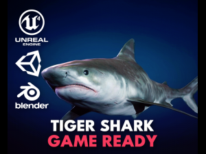 tiger shark - game ready 3D Model