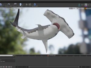 シュモクザメ 3Dモデル