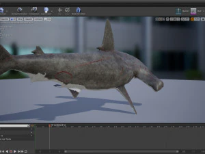 シュモクザメ 3Dモデル