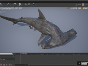 hammerhead shark 3D Model