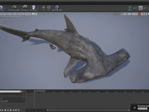 シュモクザメ 3Dモデル
