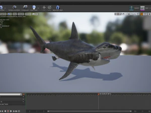 シュモクザメ 3Dモデル