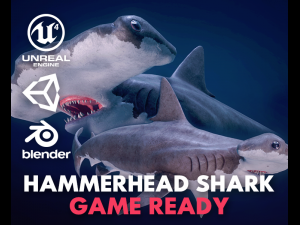 hammerhead shark 3D Model