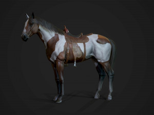 Horses - stallions 3D Модель