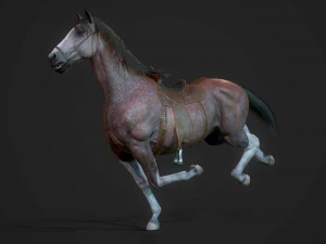 馬 - 種牡馬 3Dモデル