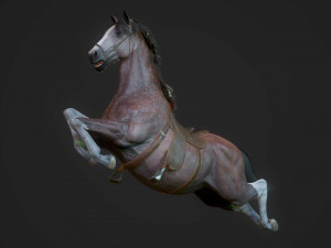 Horses - stallions 3D Модель