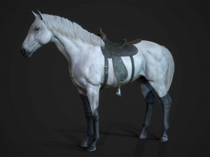Horses - stallions 3D Модель