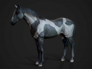 Horses - stallions 3D Модель