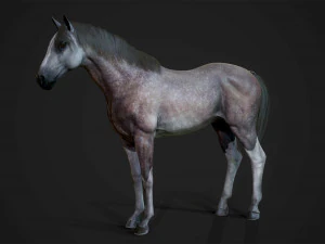 馬 - 種牡馬 3Dモデル