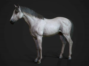馬 - 種牡馬 3Dモデル