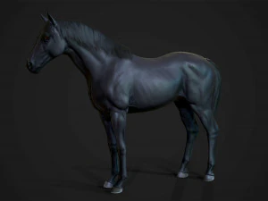 馬 - 種牡馬 3Dモデル