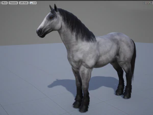 馬 - 種牡馬 3Dモデル