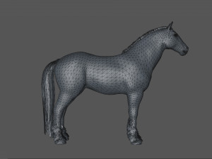 Horses - stallions 3D Модель