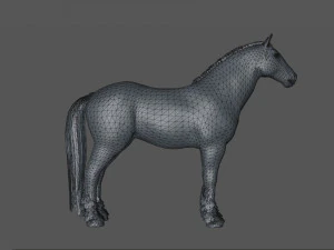 馬 - 種牡馬 3Dモデル