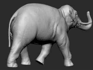 asian elephant - figurine 3D Model