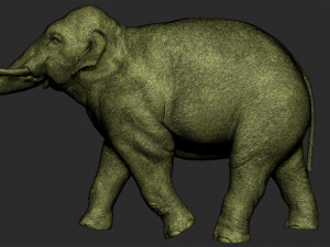 asian elephant - figurine 3D 模型