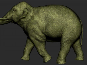 asian elephant - figurine 3D Model