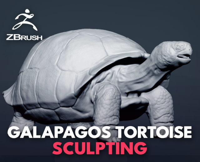 galapagos tortoise - sculpt Modelo 3D .c4d .max .obj .3ds .fbx .stl .blend 