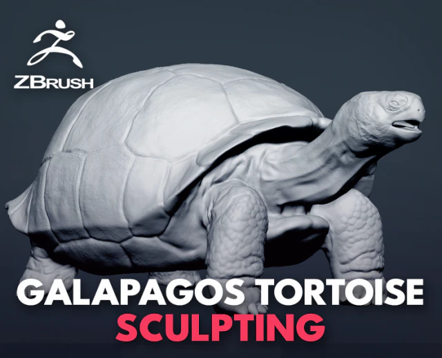 tortue des Galapagos - sculpter Modèle 3D .c4d .max .obj .3ds .fbx .stl .blend 