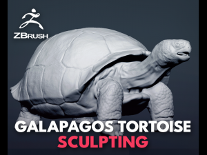 galapagos tortoise - sculpt 3D Model